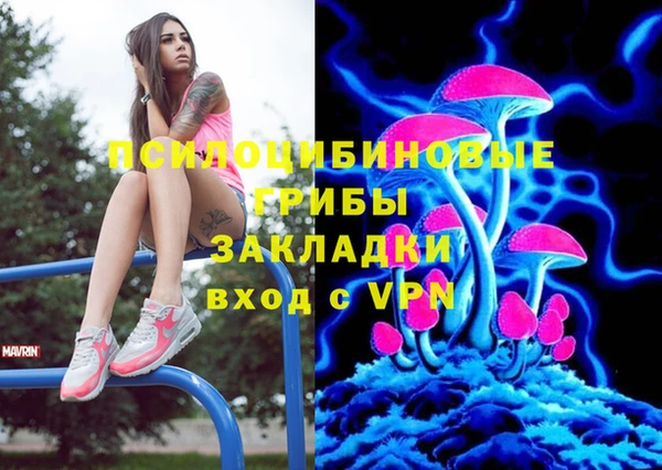 прущие крисы Балахна