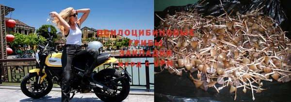 прущие крисы Балахна
